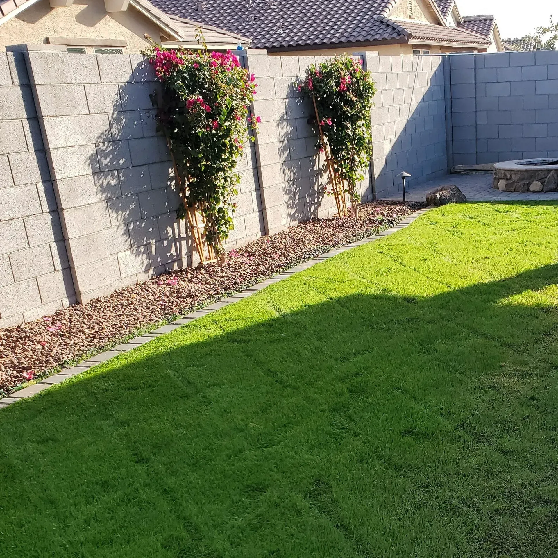 Sunlit backyard with green lawn, stone wall, and two flowering climbing plants in raised beds