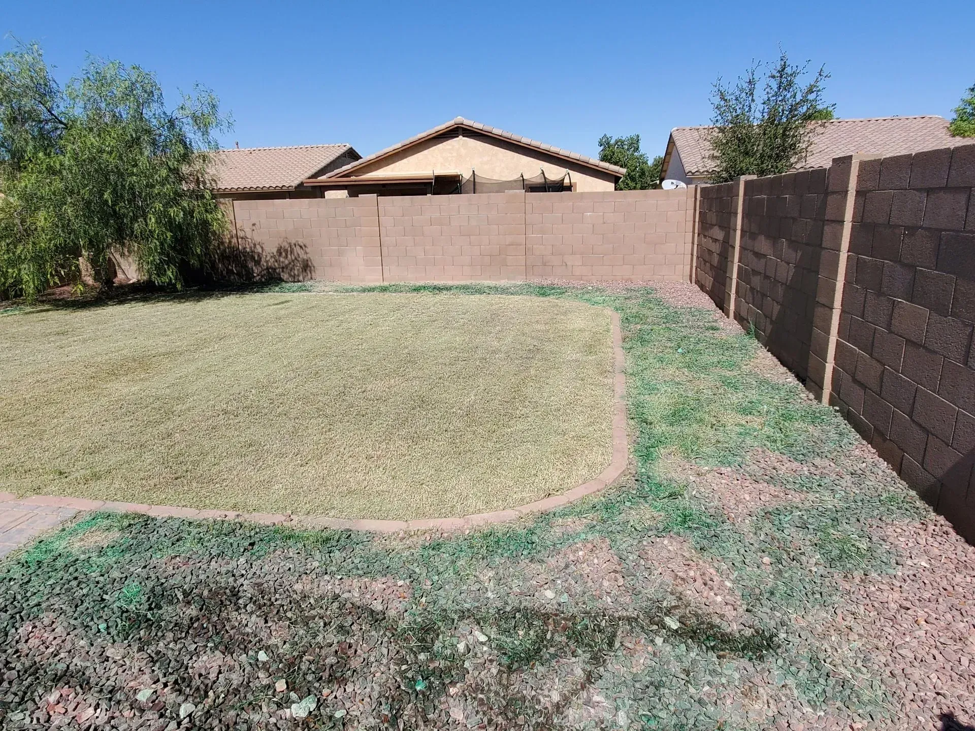 Backyard with a large grassy patch, brick walls, and a house in the background under a clear blue sky