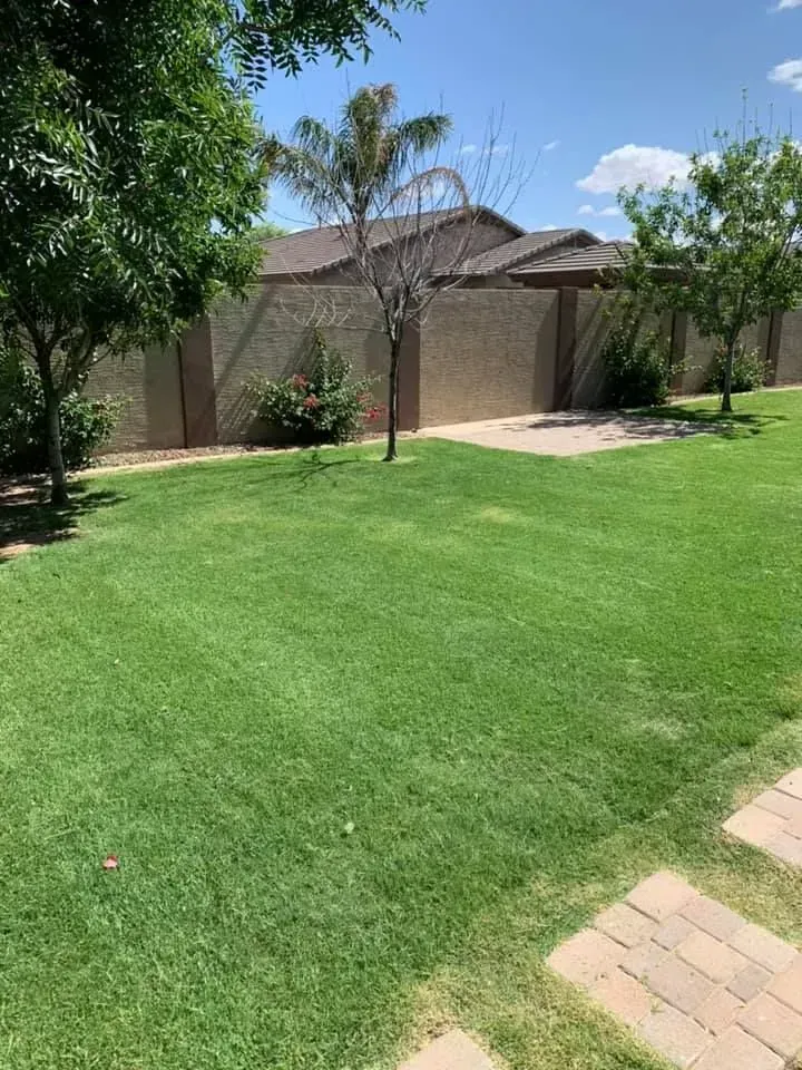 Sunny backyard with green lawn, trees, and a tan stucco house and patio gate.