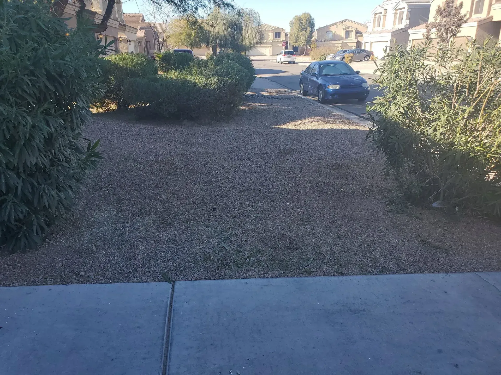 Gravel driveway with a blue car parked ahead, framed by bushes and houses on a sunny day