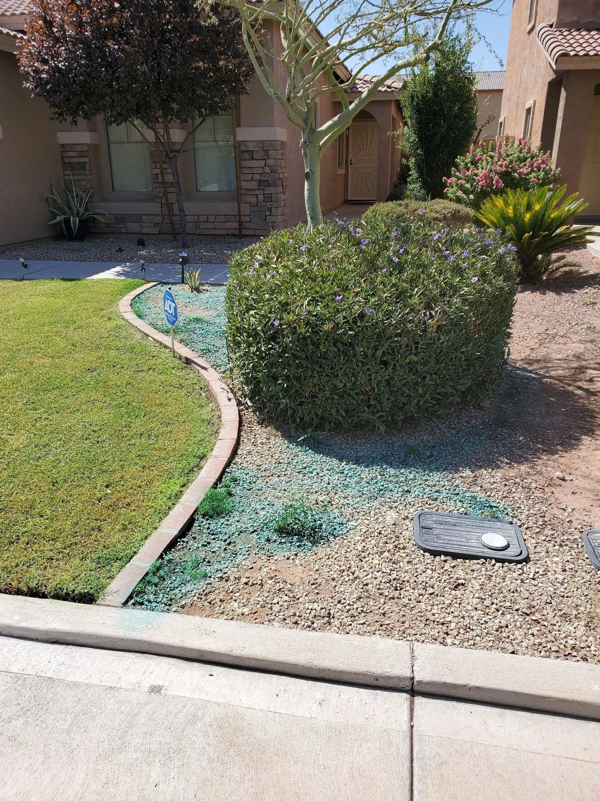 Desert front yard with curved lawn, gravel beds, shrubs, and a small tree by a house entrance
