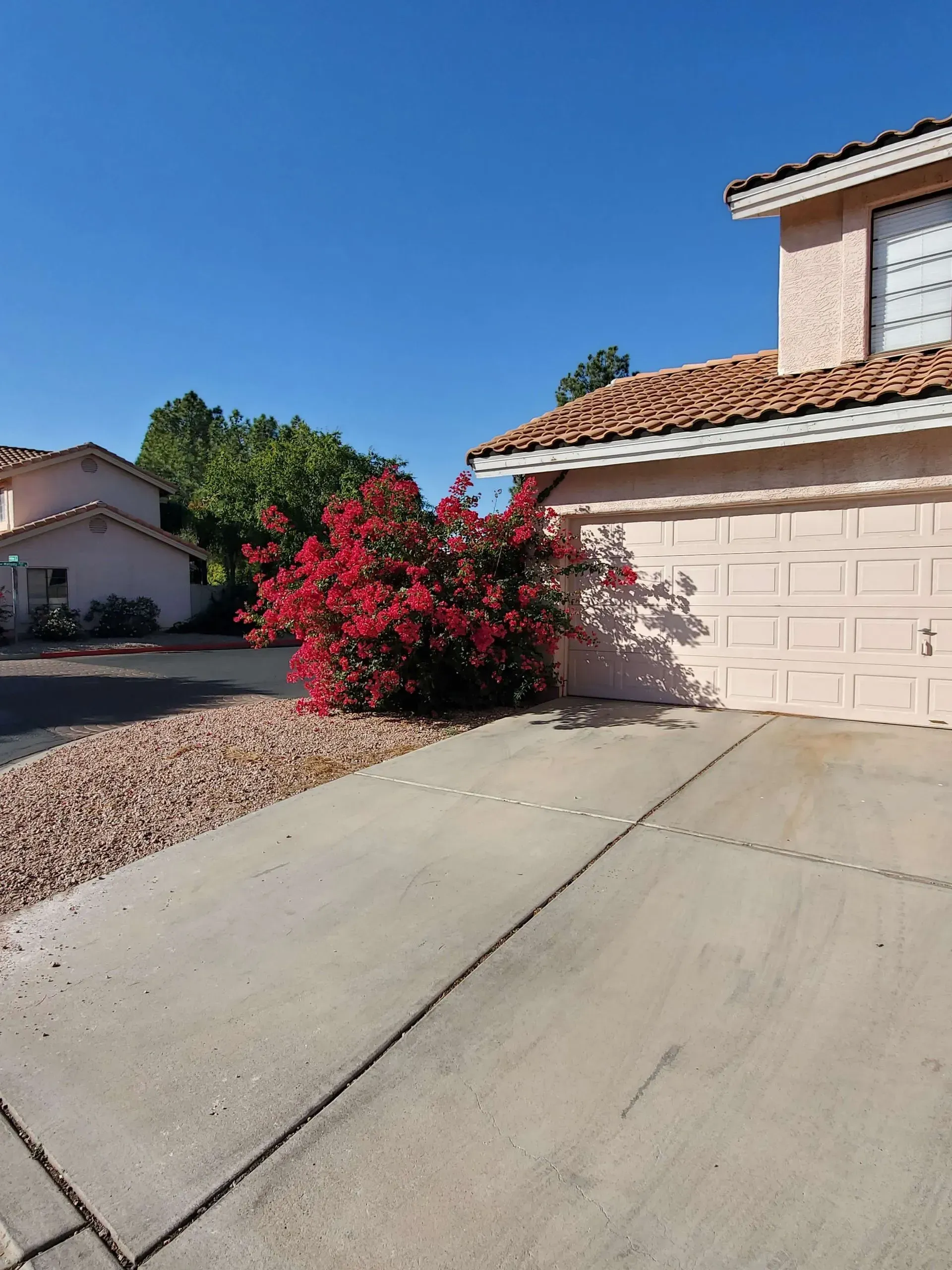 Desert suburban house with a tile roof, garage, driveway, and a bright red flowering shrub.