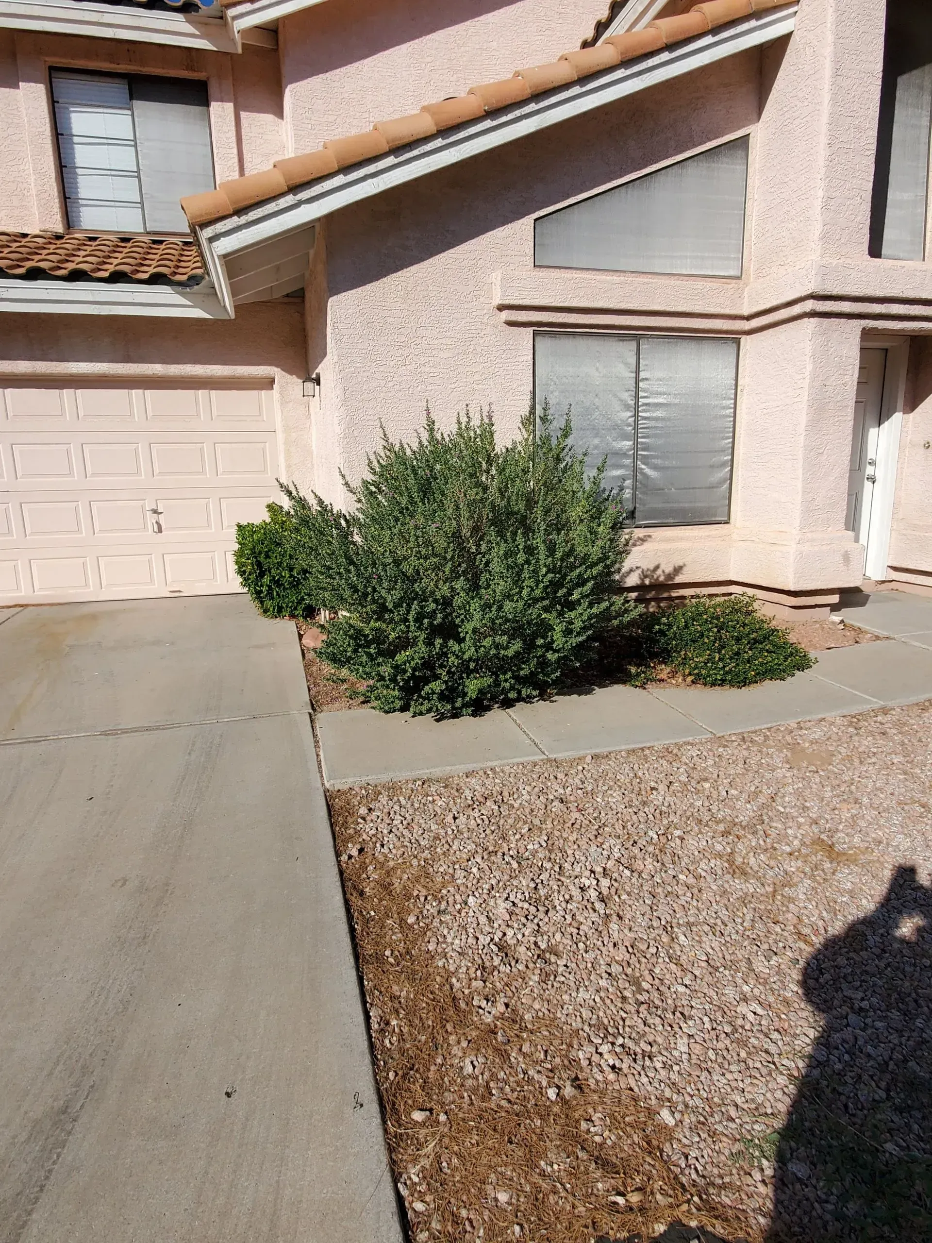 Front yard with a bush, driveway, and stucco house exterior in bright sunlight