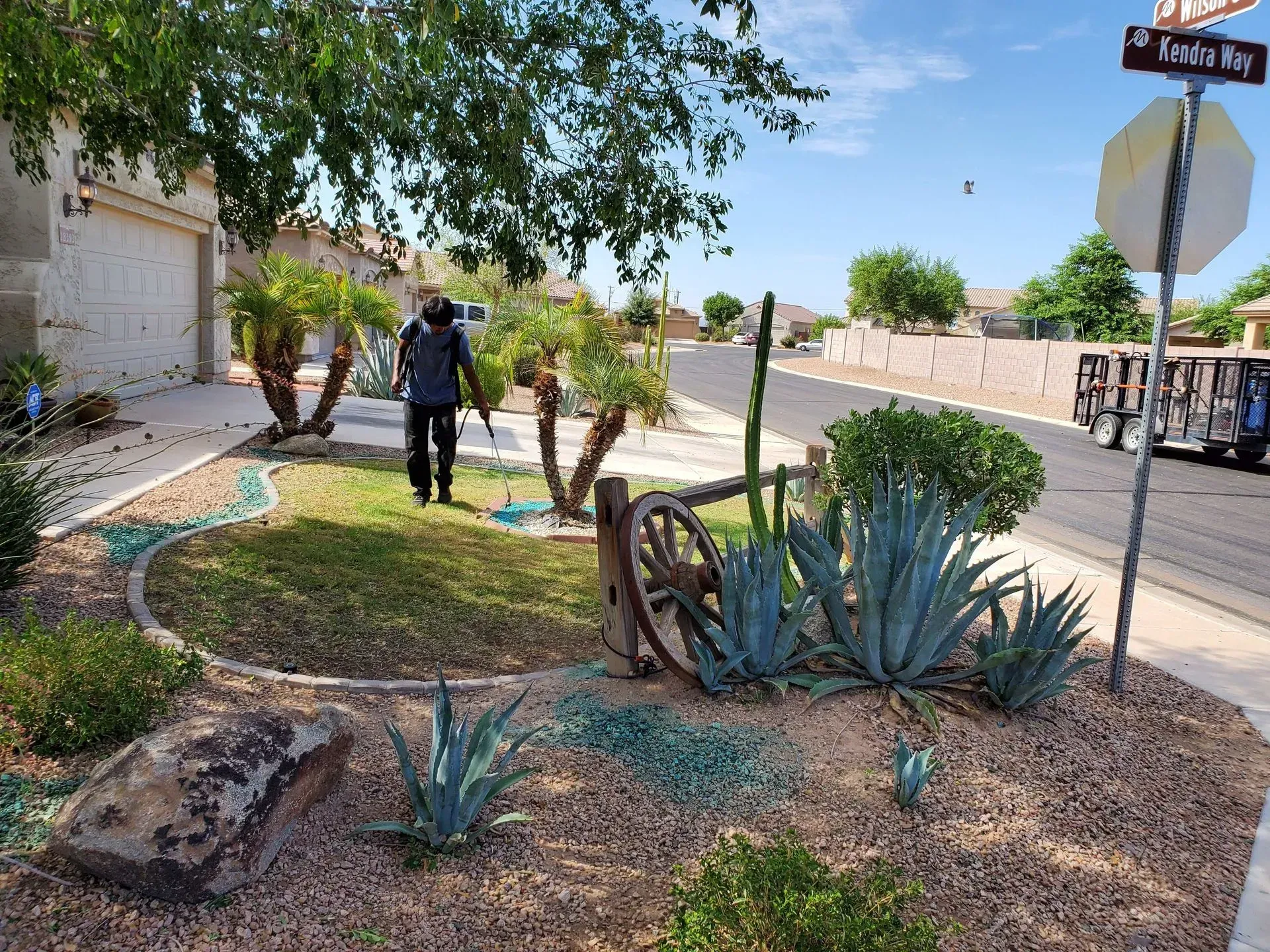 Person walking along a desert garden path beside agave plants and a street sign under a tree.