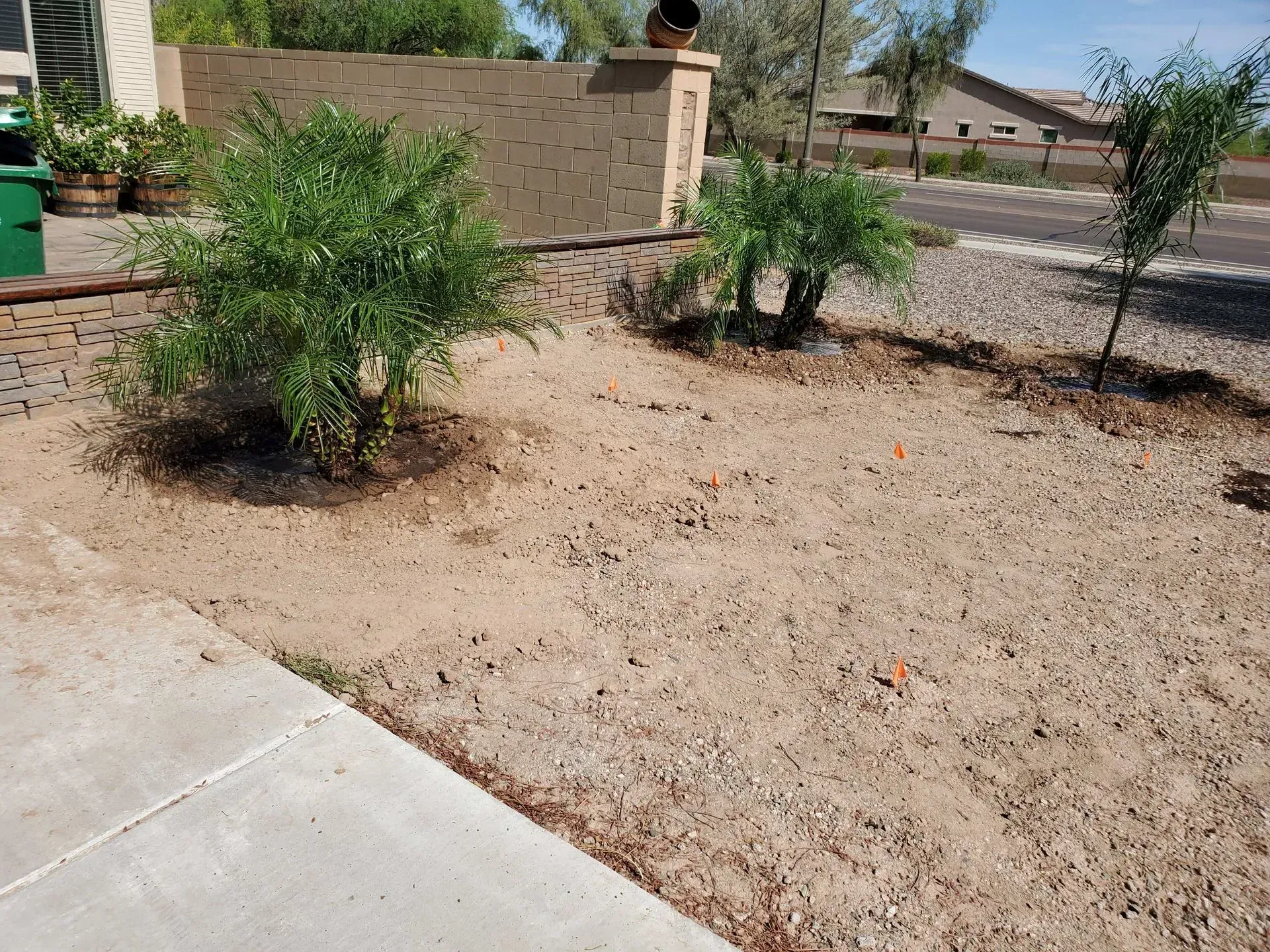 Desert front yard with small green shrubs, gravel, and a concrete walkway beside a tan wall.