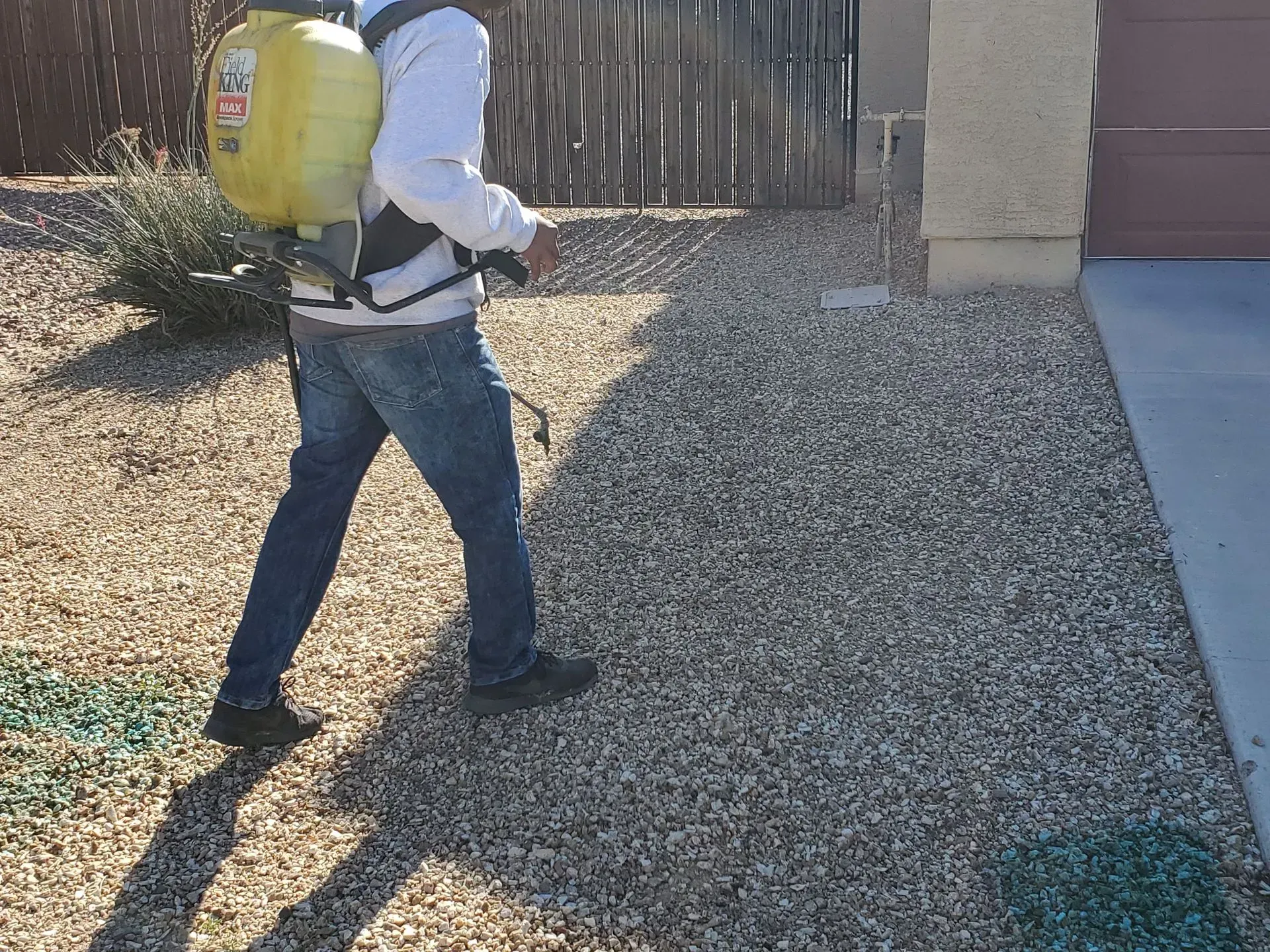 Person in white and jeans walking across a gravel yard with a yellow backpack sprayer.