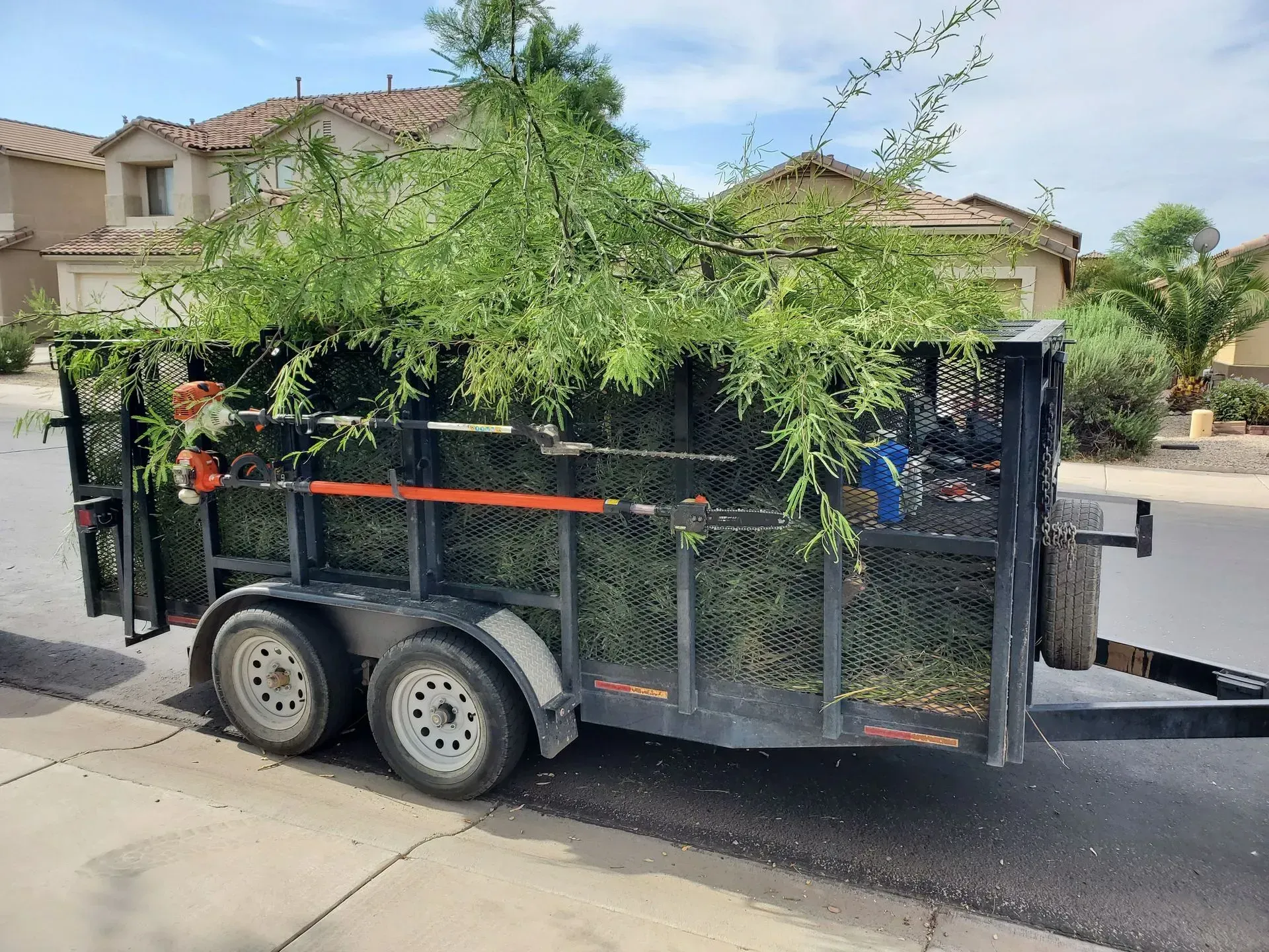 Black utility trailer loaded with leafy branches parked on a residential street