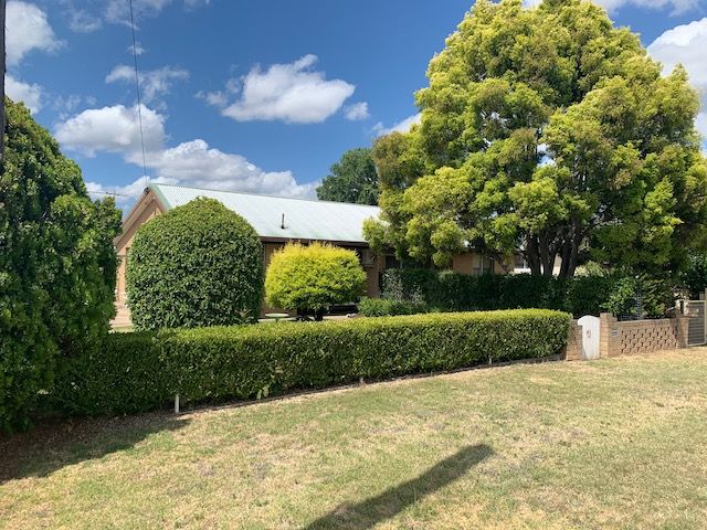 A low, green hedge fronts a house with a green lawn and leafy trees on a sunny day. — Tamworth Strata Management Services in Inverell, NSW
