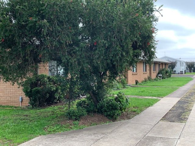 Row of brick houses with a sidewalk and a large tree in front. Green grass and a cloudy sky. — Tamworth Strata Management Services in Scone, NSW