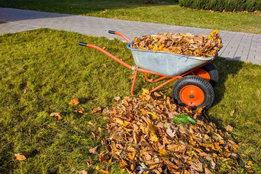 yard cleanup