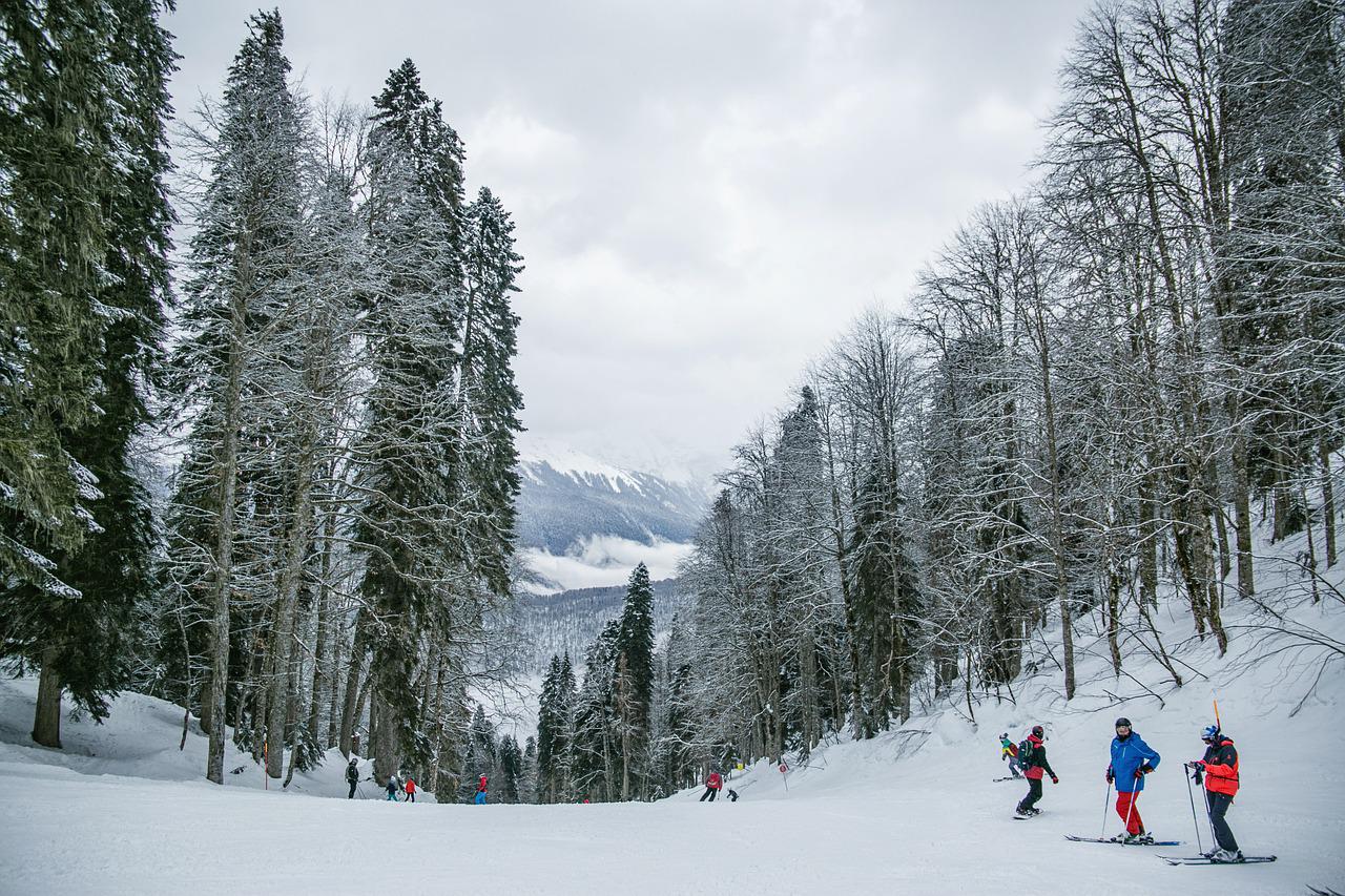 Ski Resort Slope