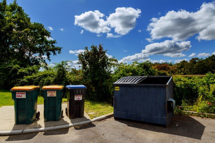 dumpster needs