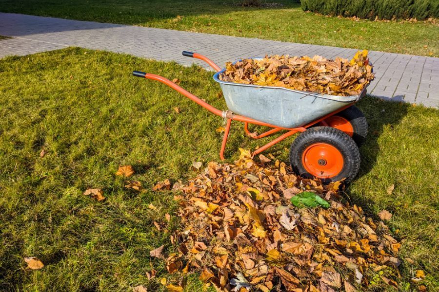 yard cleanup
