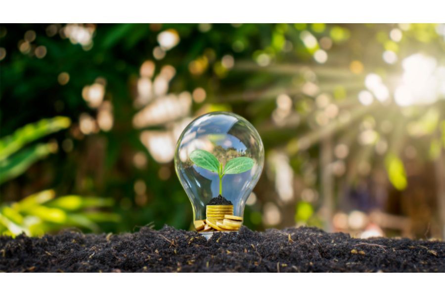 Bulb with Green Leaf inside symbolizing Green Environment
