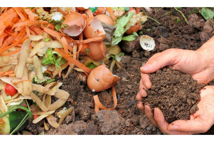 Hand holding dirt