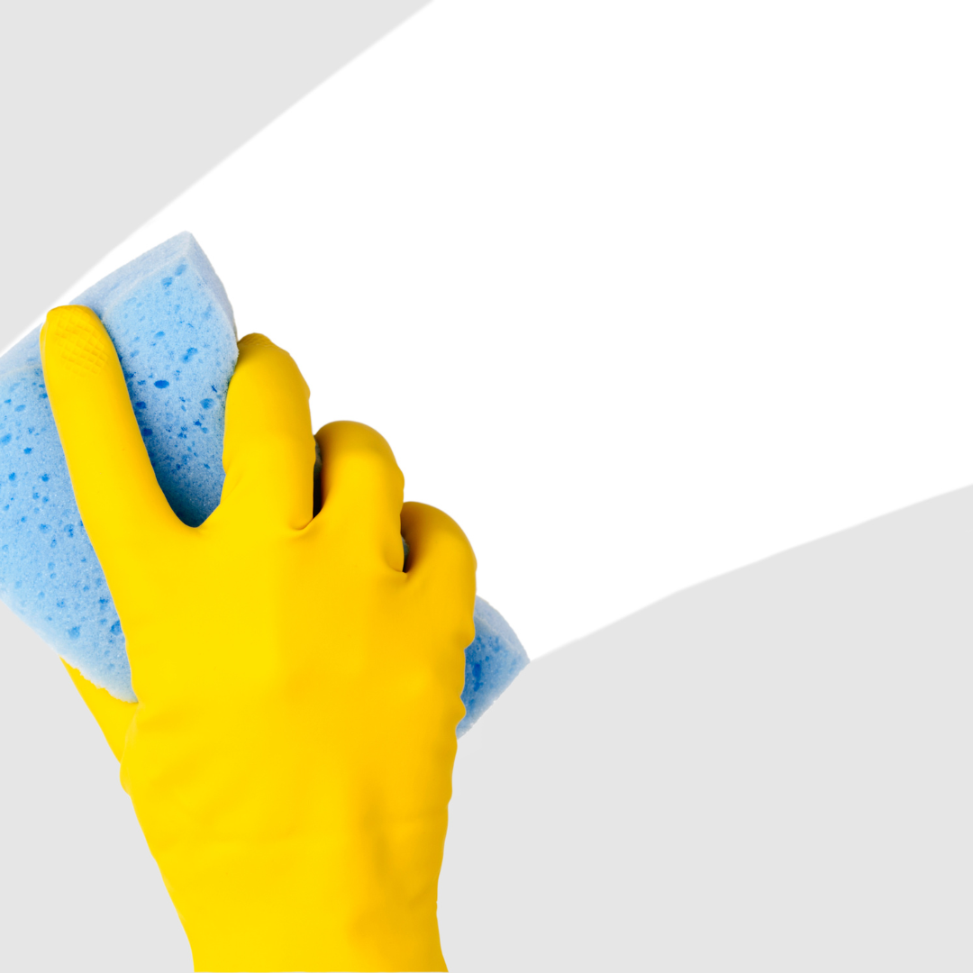 Dumpster Cleaning