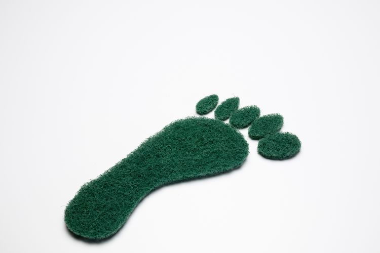 environmental impact