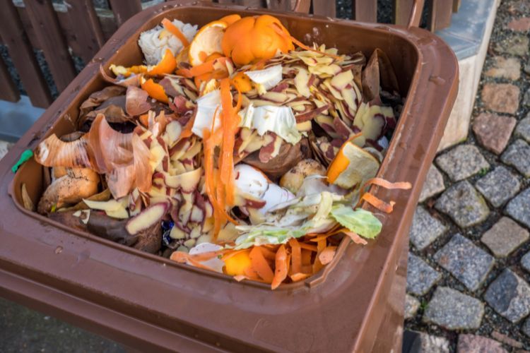 wastes from restaurants