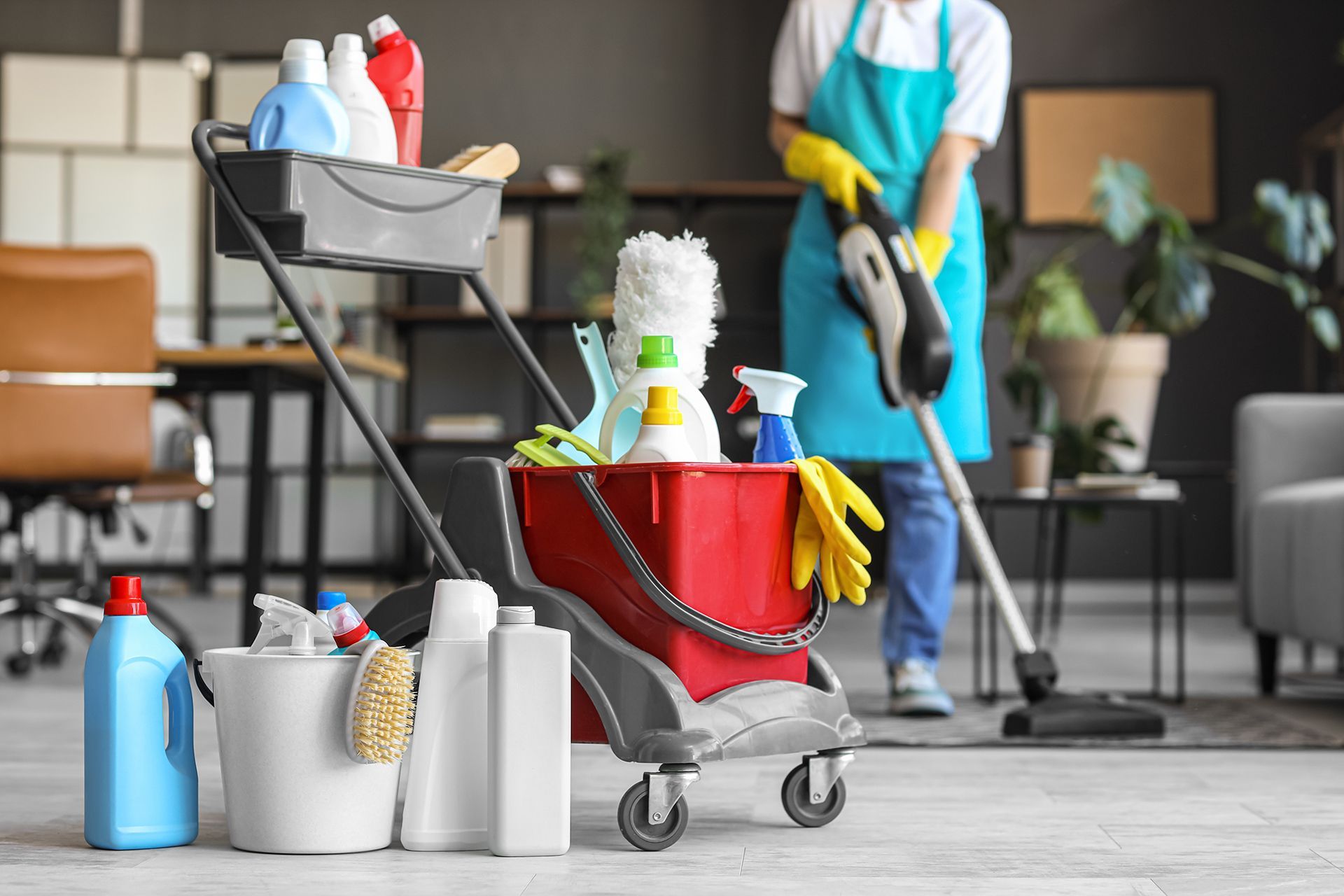House General Clean Up