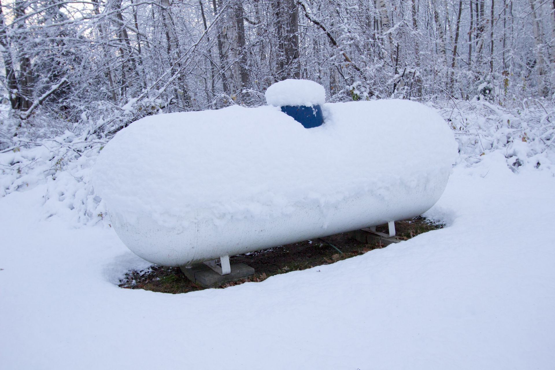 Snow-covered white propane tank outdoors with a blue valve cap, in a snowy setting with trees.