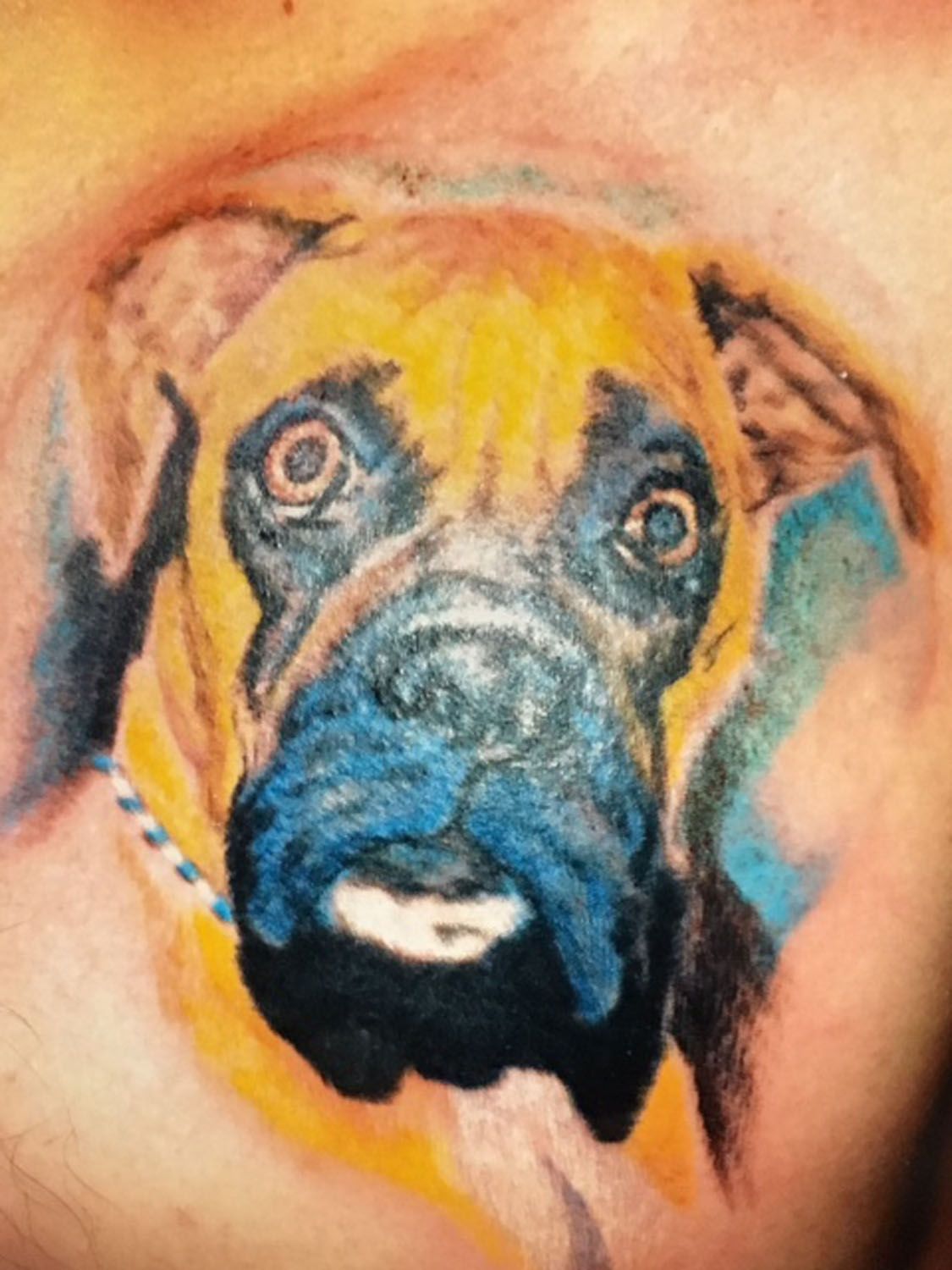 A close up of a tattoo of a boxer dog