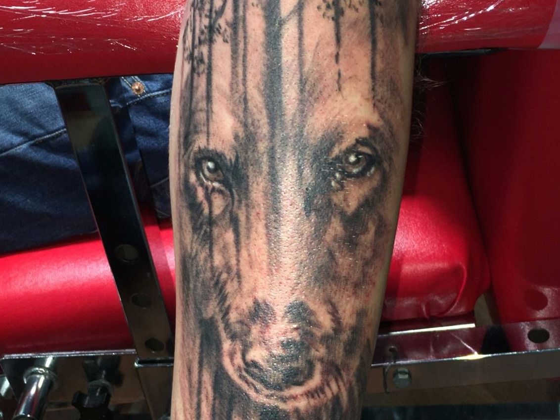 A person has a tattoo of a wolf on their arm