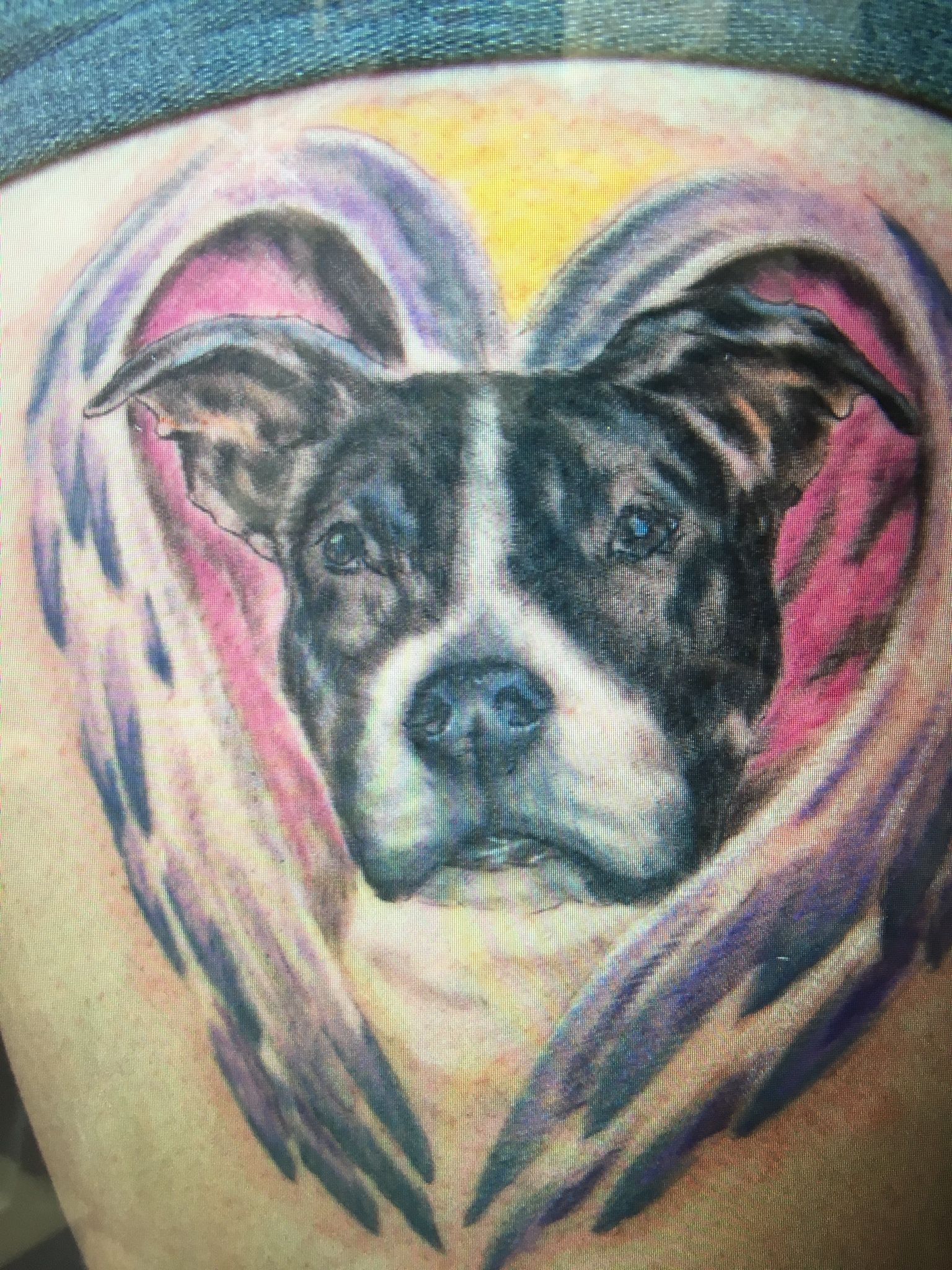 A close up of a tattoo of a dog in a heart on a person 's back.