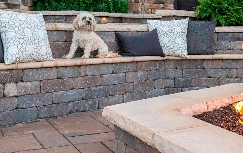 Small white dog sitting on a stone bench with cushions beside an outdoor fire pit.