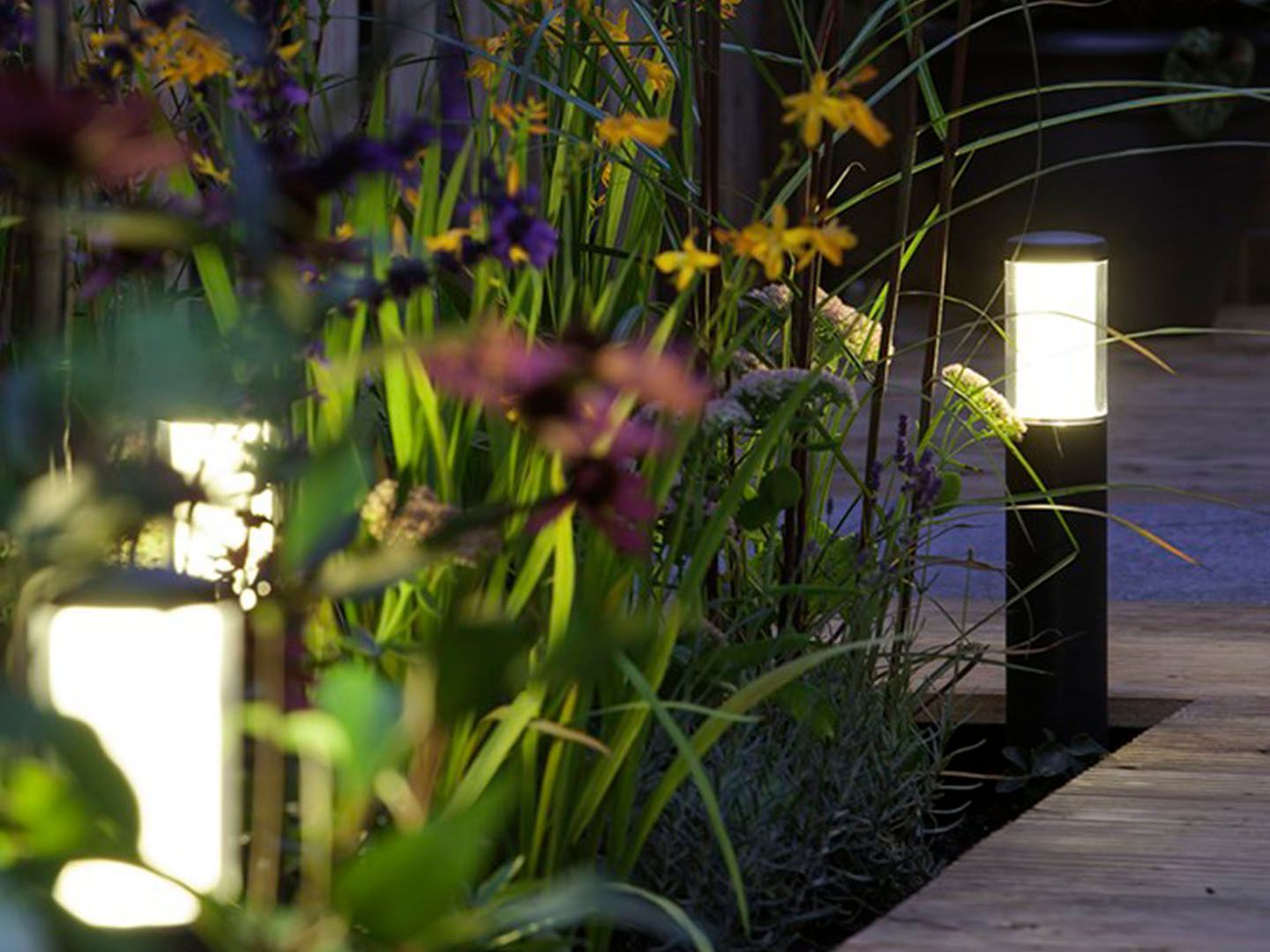 Illuminated garden path with tall grass, purple flowers, and glowing walkway lights at night