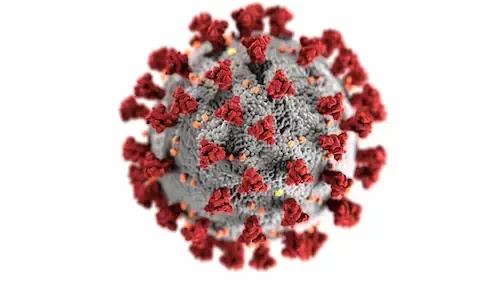 Illustration of cvirus particle, showing the characteristic red spike proteins on the virus surface