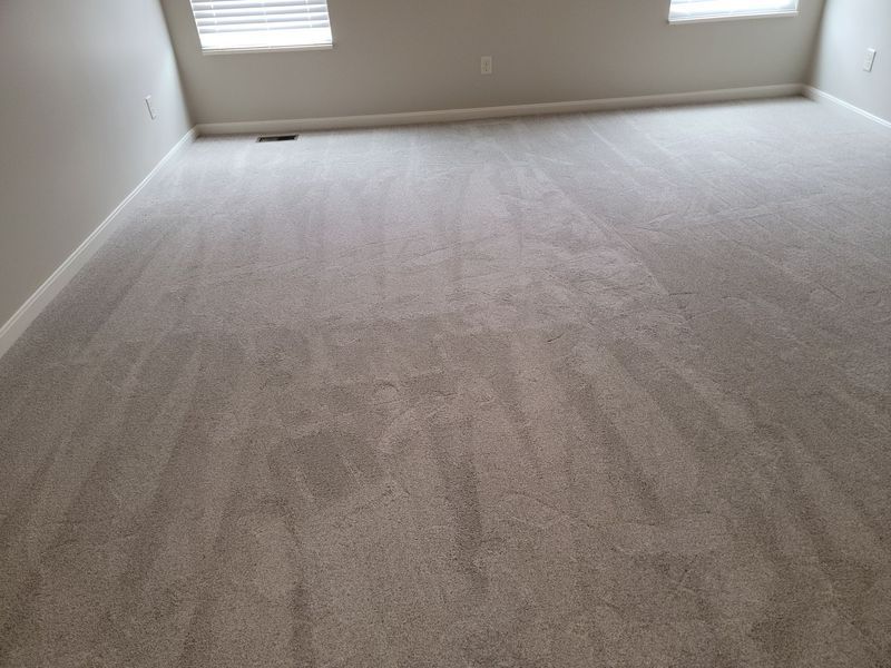 Empty beige carpeted room with two windows and white walls