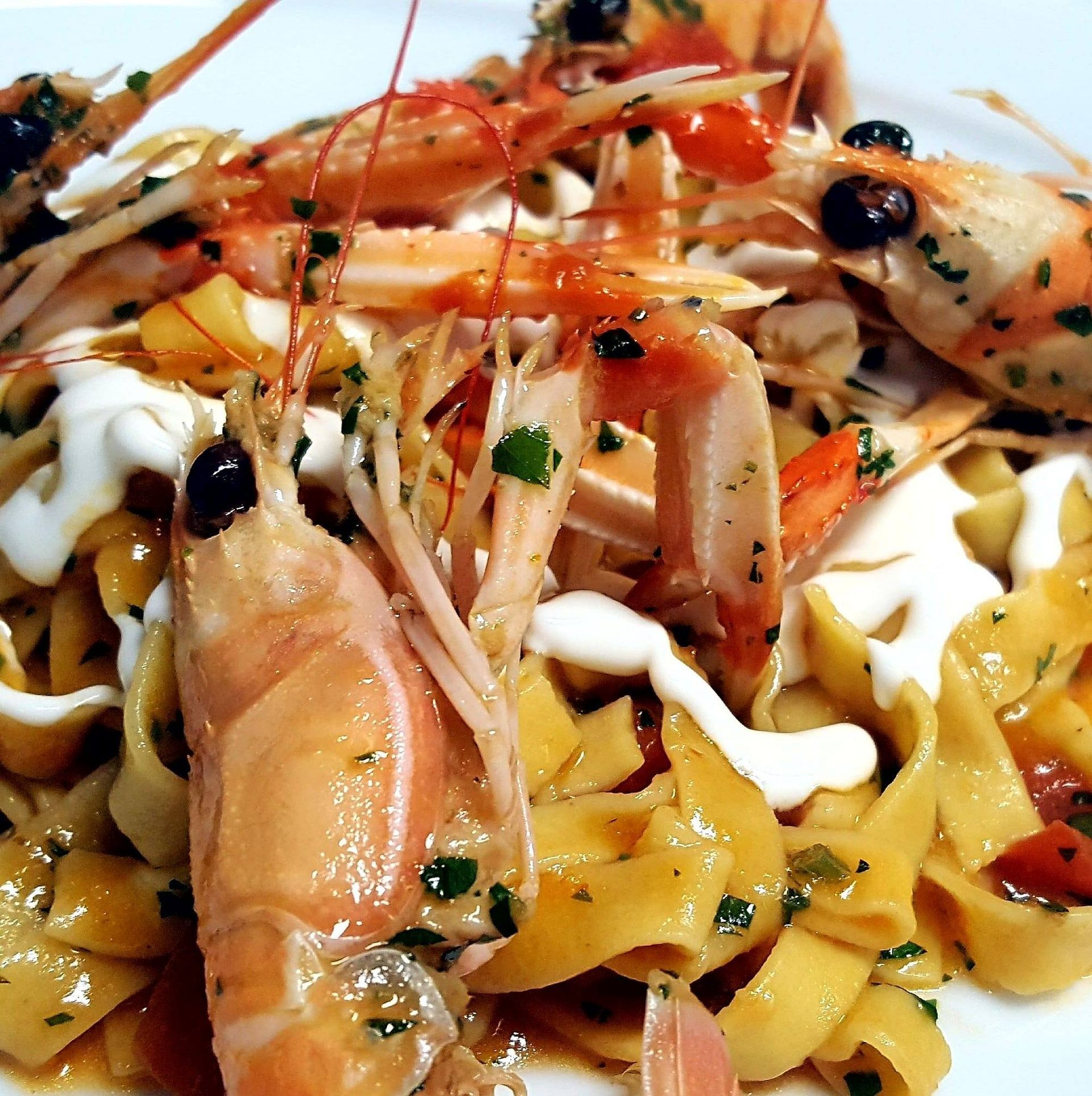 trattoria pappa &ciccia