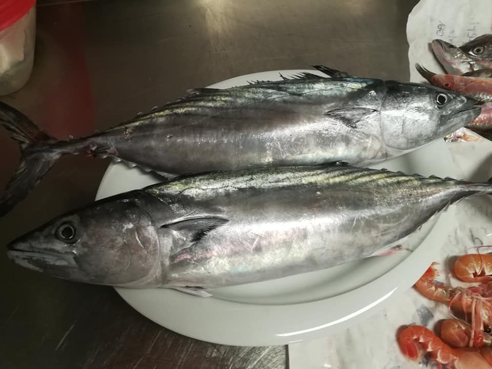 trattoria pappa &ciccia
