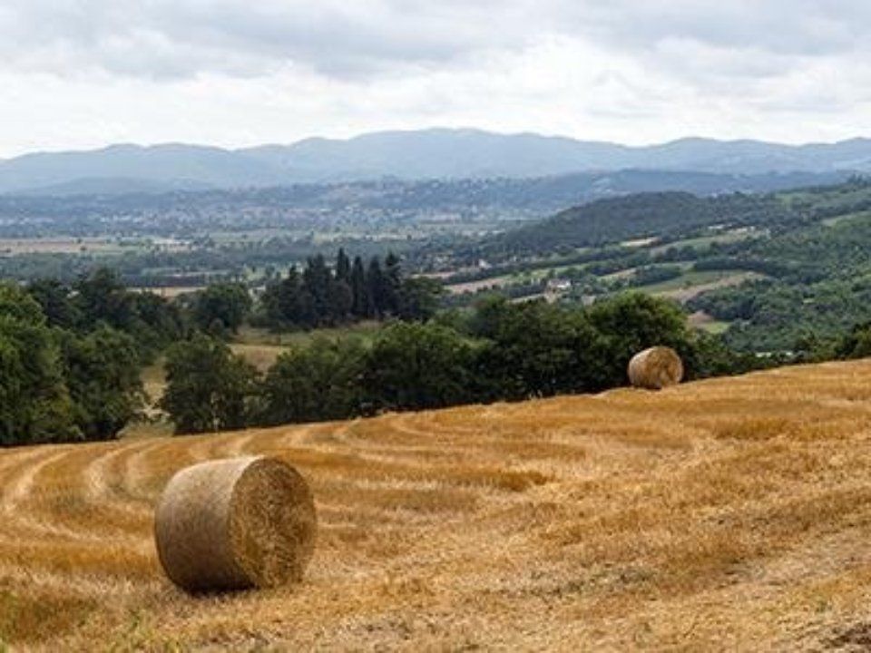 Colli emiliani