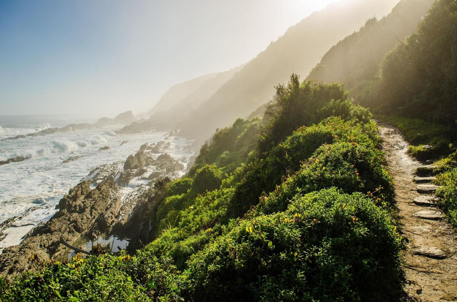 Coastal cliff trail beside green shrubs overlooking a rocky ocean shoreline at sunset
