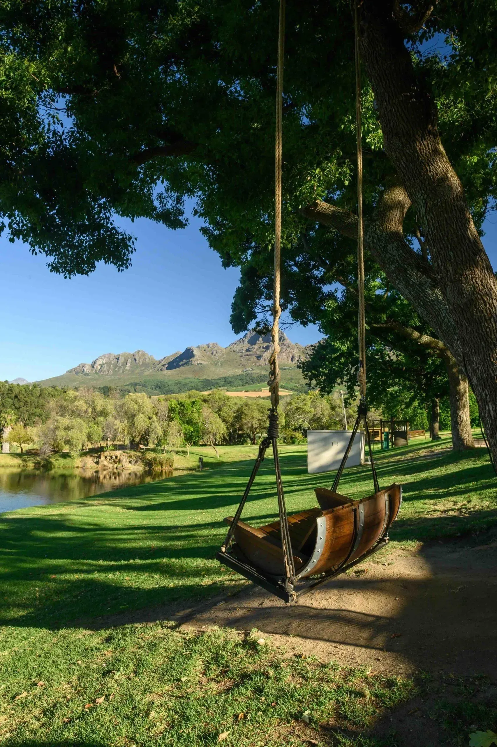 Wooden swing chair hanging under a tree in a sunny park with hills in the background