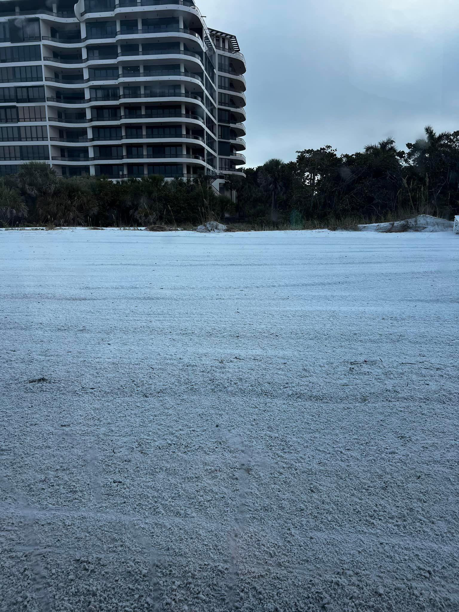 Beach covered in small white objects, with a tall building and trees in the background under a cloudy sky.