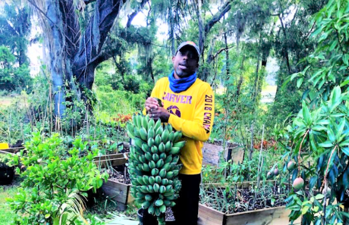 Apopka Gardeners: Fall tips you can use