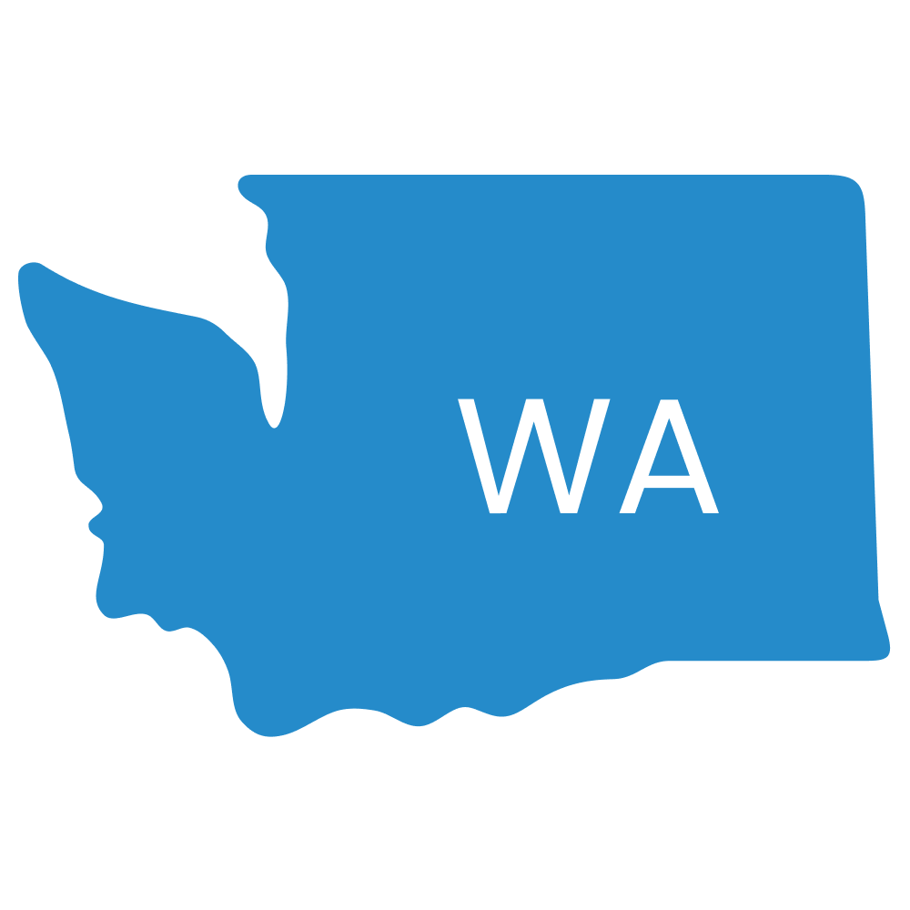 icon of washington