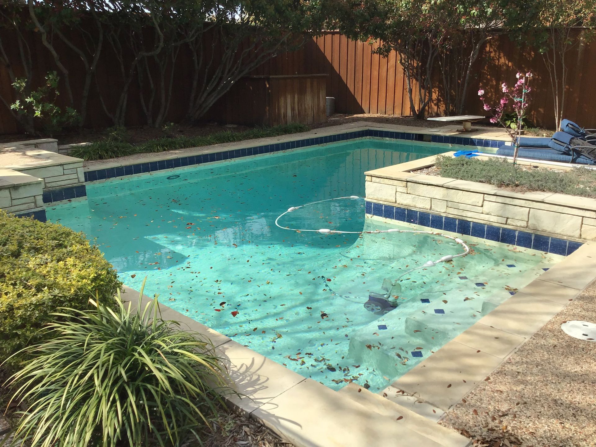 A large swimming pool with a wooden fence in the background