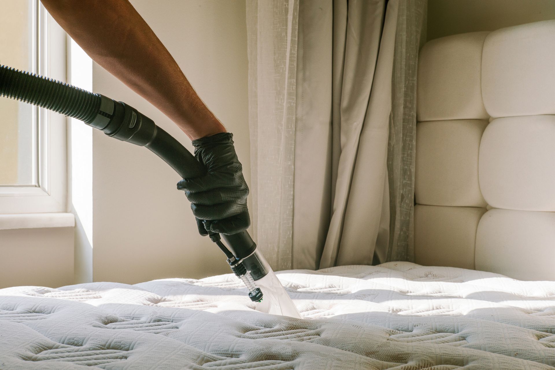 Vacuuming a white mattress near a window with a black hose attachment Vacuuming a white mattress near a window with a black hose attachment