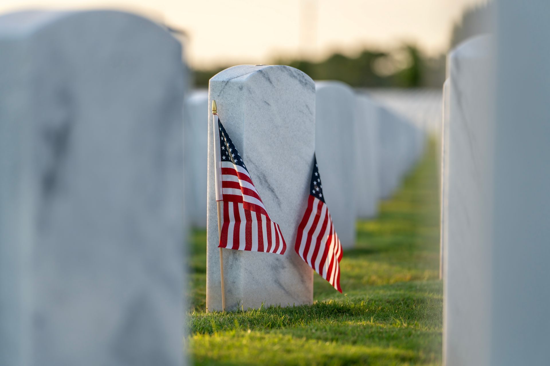 A man in a military uniform salutes in front of a cemetery