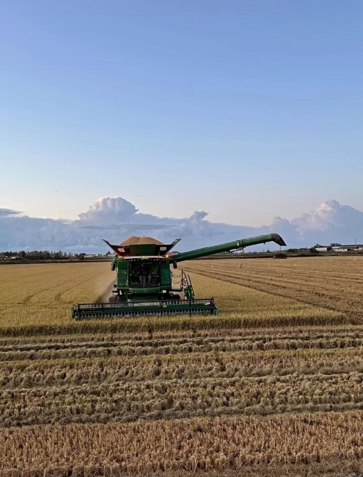 Una vista aerea mostra due trattori su una strada sterrata rurale tra campi agricoli arati.
