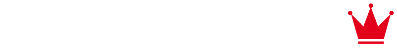 Logo Taller Auto Papini