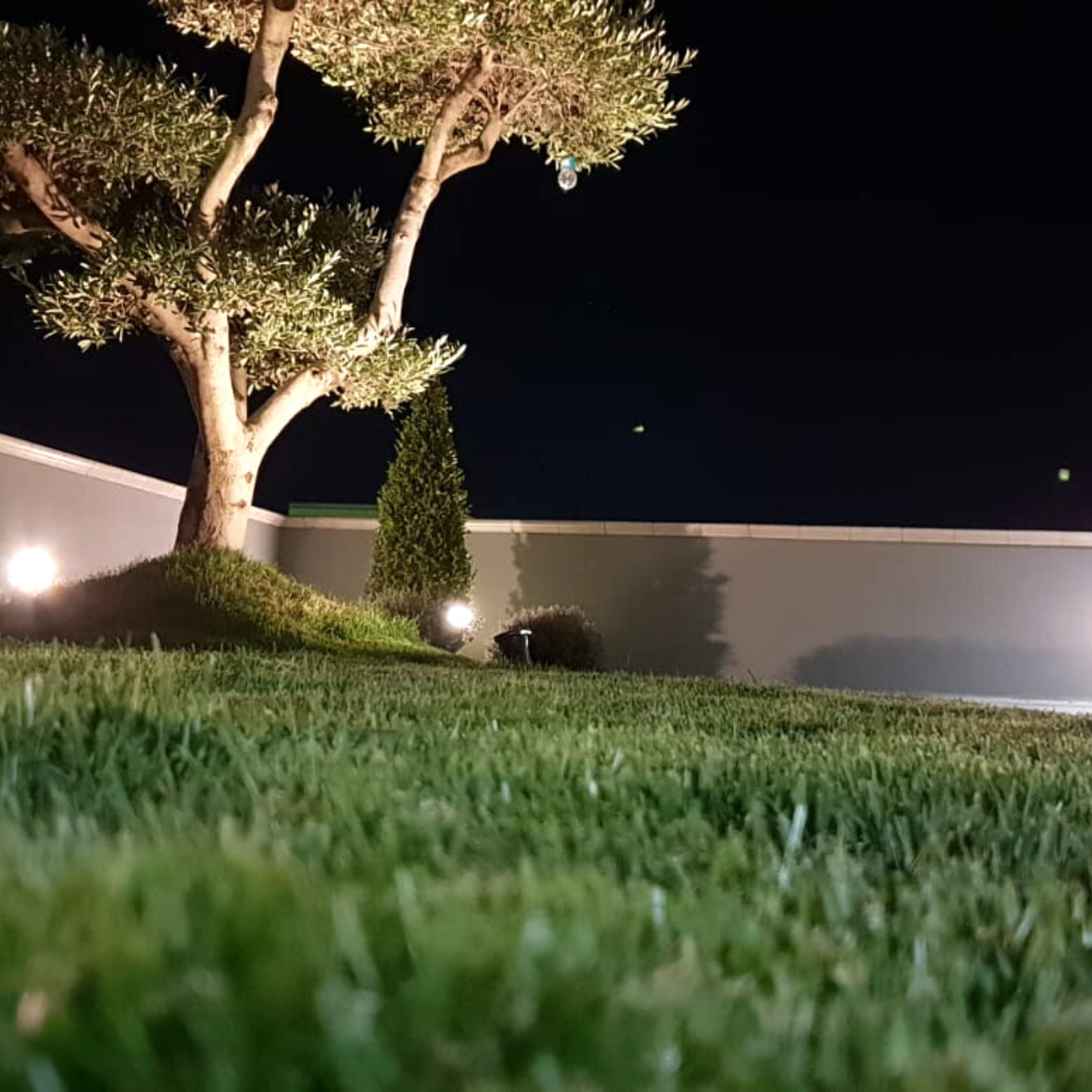 giardini pensili