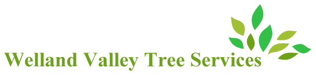 Welland Valley Tree Services Welland Valley Tree Services