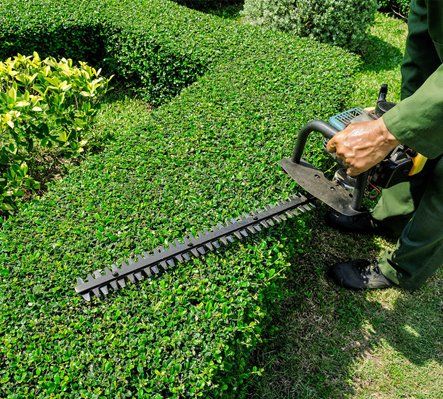 Workers were using electric mower for Gardening