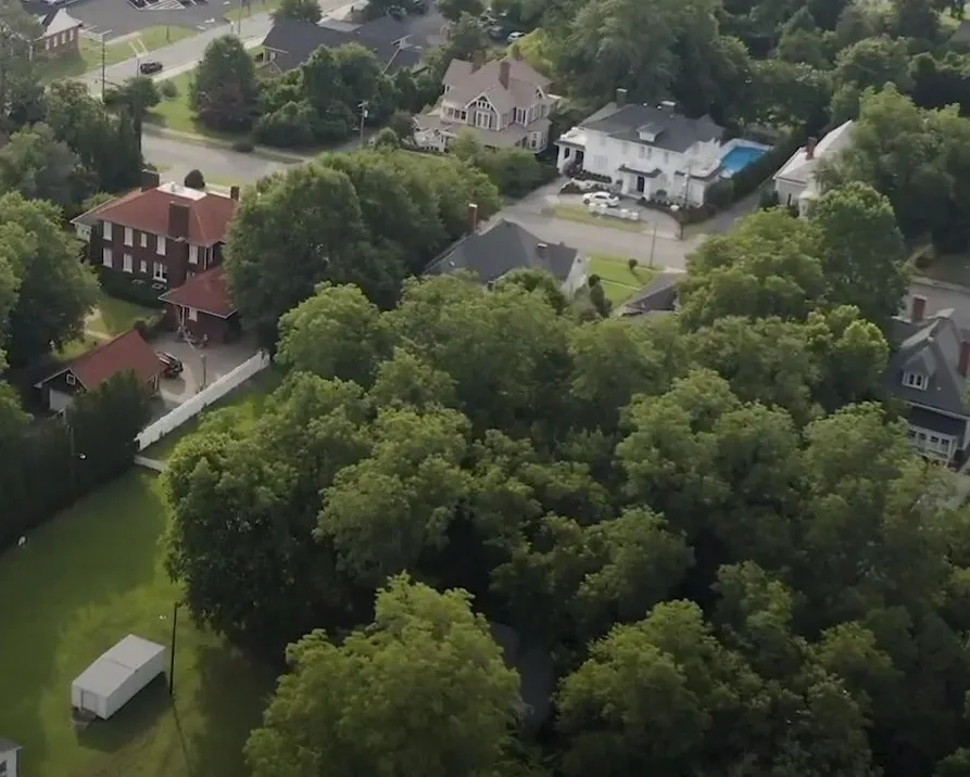 Aerial view of tree-lined suburban homes, including a white house with a pool and red brick houses nearby
