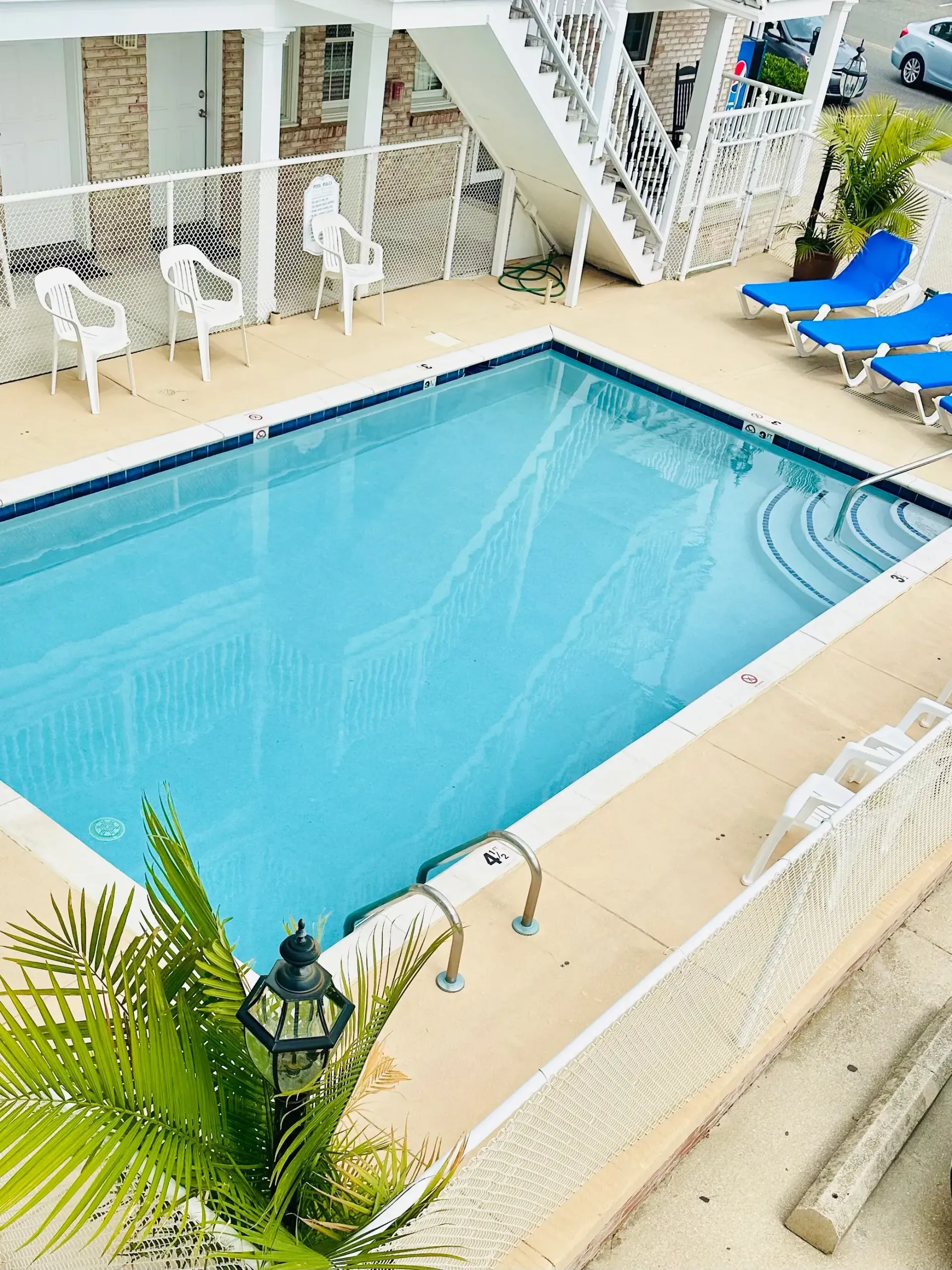 A large swimming pool surrounded by chairs and a palm tree