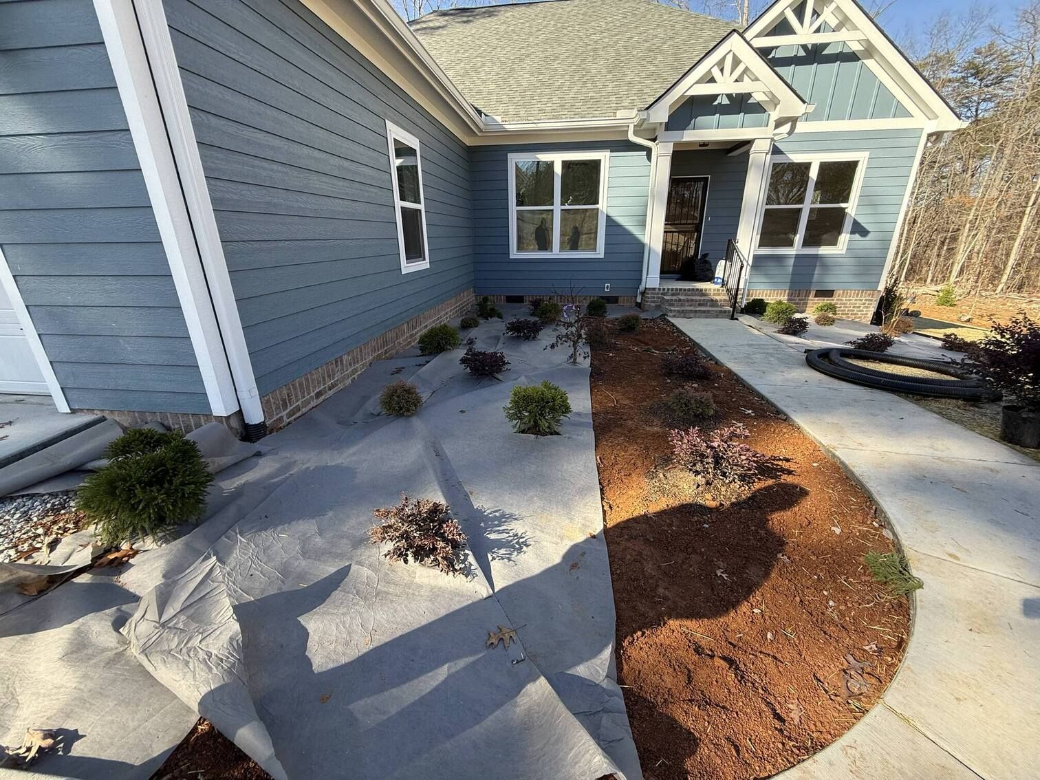 Front walkway to a blue house with concrete paths, mulch beds, and small shrubs.